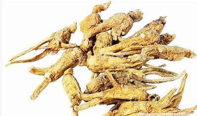 西洋參與人參的區(qū)別 藥用價(jià)值與適用人群解析